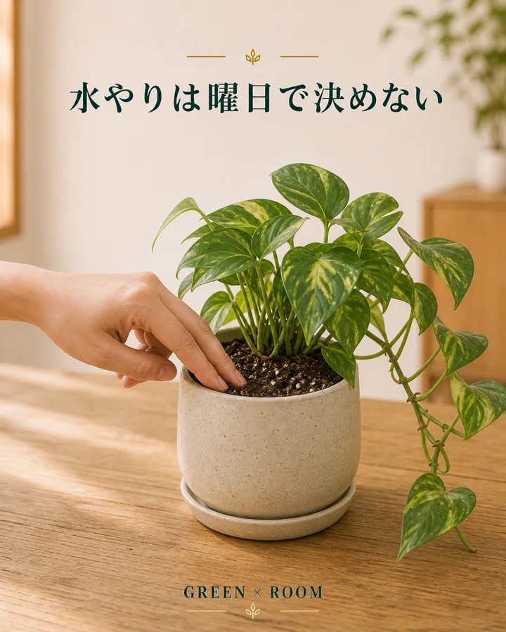 水やりは曜日で決めないを紹介するGREEN × ROOMのInstagram投稿表紙