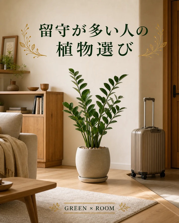 留守が多い人の植物選びを紹介するGREEN × ROOMのInstagram投稿表紙