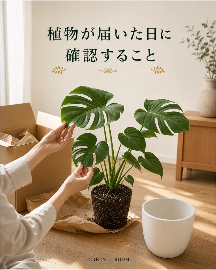 植物が届いた日に確認することを紹介するGREEN × ROOMのInstagram投稿表紙