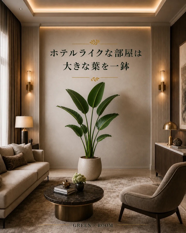 ホテルライクな部屋は大きな葉を一鉢を紹介するGREEN × ROOMのInstagram投稿表紙