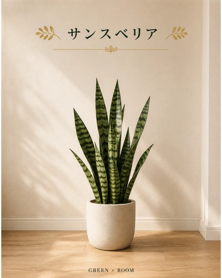 サンスベリアを紹介するGREEN × ROOMのInstagram投稿表紙