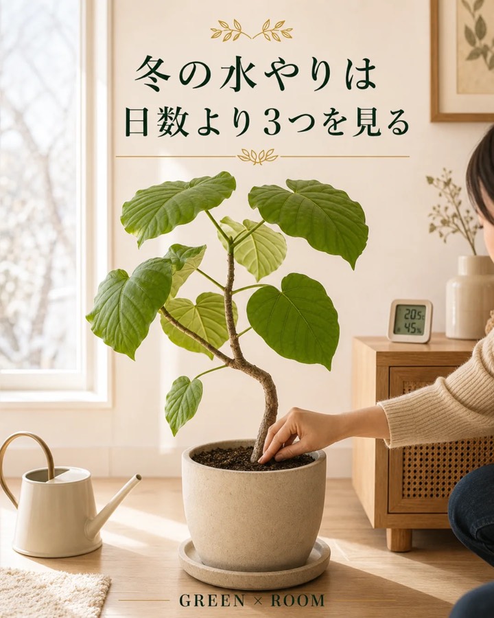 冬の水やりは日数より3つを見るを紹介するGREEN × ROOMのInstagram投稿表紙